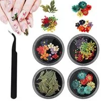 Expired:&nbsp;3D Dried Flowers for Nail Art, 4 Boxes Natural Real Dry Resin Flower Nail Stickers with 1pcs tweezer