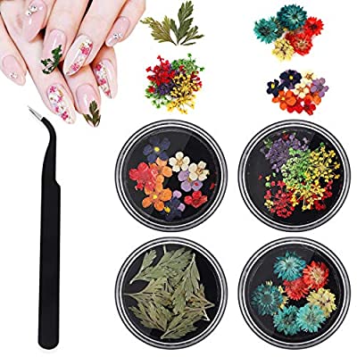 Expired: 3D Dried Flowers for Nail Art, 4 Boxes Natural Real Dry Resin Flower Nail Stickers with 1pcs tweezer