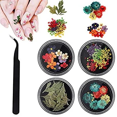 Expired:&nbsp;3D Dried Flowers for Nail Art, 4 Boxes Natural Real Dry Resin Flower Nail Stickers with 1pcs tweezer