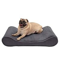 Furhaven Pet Dog Bed – Memory Foam Micro Velvet Ergonomic Luxe Lounger Cradle Mattress Contour Pet Bed with Removable Cover for Dogs and Cats, Gray, Medium