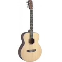 James Neligan ASY-A MINI ASYLA Series Auditorium Acoustic Travel Guitar