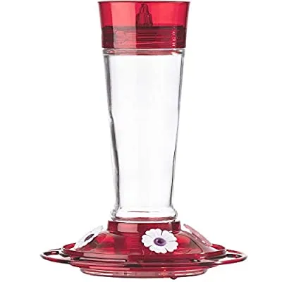 More Birds Ruby Hummingbird Feeder, Glass Bottle, 5 Feeding Ports, 10-Ounce Nectar Capacity