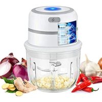 Expired: Electric Mini Food Choppers, Mincer Slicer Cutter For Vegetable Onion Ginger Meat Salad Nut with Glass Bowl, 1.2 Cup