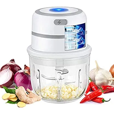 Expired: Electric Mini Food Choppers, Mincer Slicer Cutter For Vegetable Onion Ginger Meat Salad Nut with Glass Bowl, 1.2 Cup