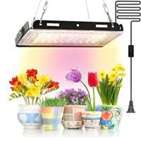 Expired:&nbsp;Full Spectrum LED Grow Light for Indoor Plants 150W