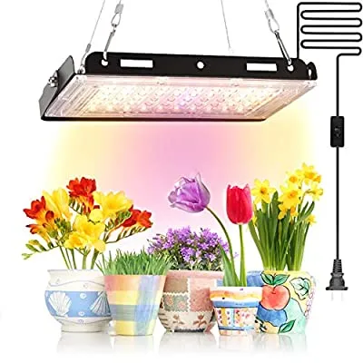 Expired:&nbsp;Full Spectrum LED Grow Light for Indoor Plants 150W