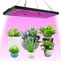 Expired: LED Grow Lights for Indoor Plants Full Spectrum Panel Plant Light 100W LED Grow Lamp with IR&UV (75Pcs LEDs)