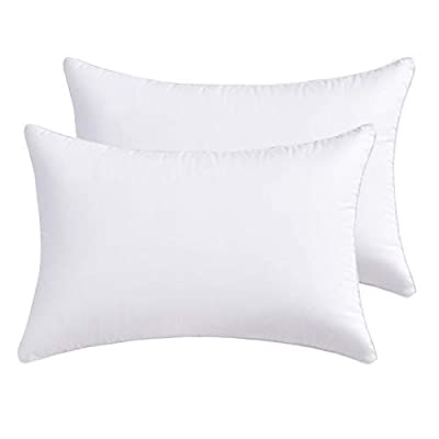 Expired: Lipo Throw Pillow Inserts Filling with Premium Resilient Microfiber and100% Cotton Cover (Pack of 2, White)