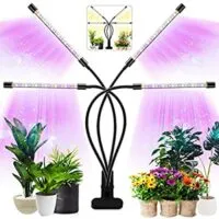 Expired: Plant Growing Lamps Four Head 80 LED Growing Light Full Spectrum 3 Switch Modes 10 Brightness