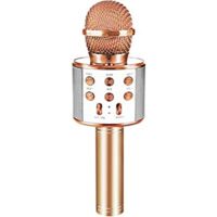 Expired: Portable Karaoke Microphone with Speaker for Kids Singing