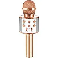 Expired: Portable Karaoke Microphone with Speaker for Kids Singing