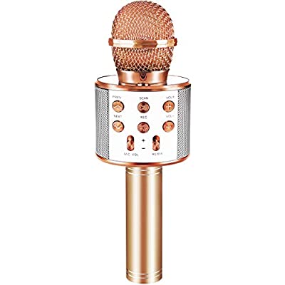 Expired: Portable Karaoke Microphone with Speaker for Kids Singing