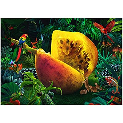 Expired: 1000 Piece Puzzles for Adults, Fruit Finder Jigsaw Puzzles