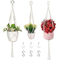 Expired: 3 PCS Plant Wall Hangers with 6 Hooks – Different Sizes