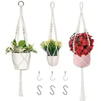 Expired:&nbsp;3 PCS Plant Wall Hangers with 6 Hooks – Different Sizes