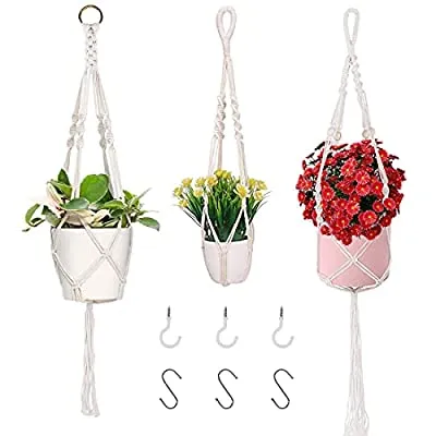 60% off - Expired:&nbsp;3 PCS Plant Wall Hangers with 6 Hooks – Different Sizes