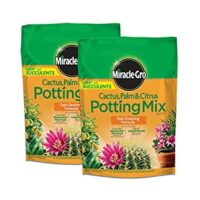 2 Pack Miracle-Gro Cactus, Palm & Citrus Potting Mix 8 Qt