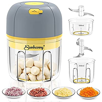 Expired: Wireless Mini Food Chopper /Processor (100+250ML Bowl, Gray)