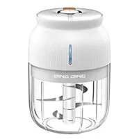 Expired:&nbsp;DINGDING Wireless Electric Mini Garlic Chopper (350ML), for Spices