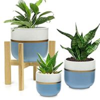 Expired: 3 set Ceramic Planters 6″, 7″, 9″ with 1 Wood Stand