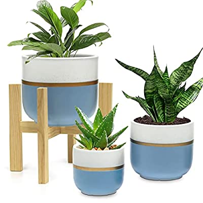 75% off - Expired: 3 set Ceramic Planters 6″, 7″, 9″ with 1 Wood Stand