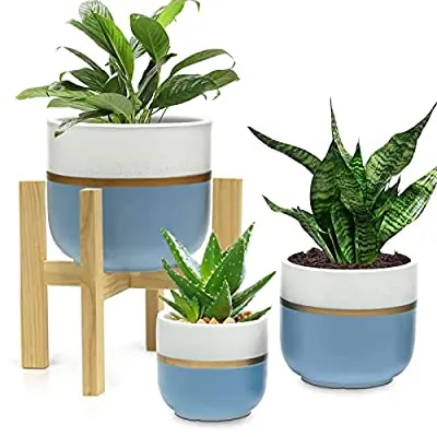Expired:&nbsp;3 set Ceramic Planters 6″, 7″, 9″ with 1 Wood Stand
