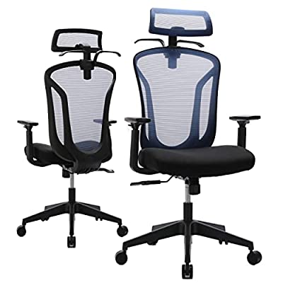 Ergonomic High Back Mesh Chair with Adjustable Headrest, Lumbar, Armrest