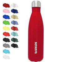 Insulated Stainless Steel Water Bottles, Cold 24 Hrs, 17oz