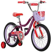 Schwinn Koen & Elm Bike, 18-Inch Wheels