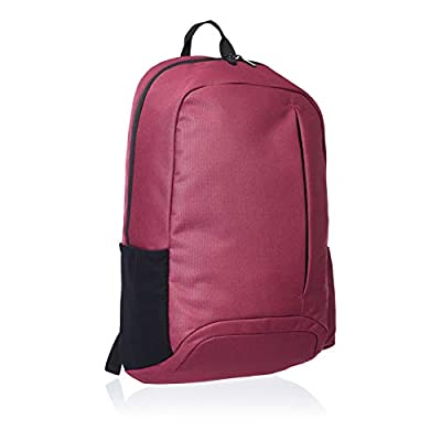 Amazon Basics Backpack for Laptops up to 15-Inches