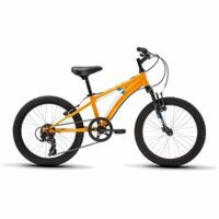 Diamondback Cobra Youth 20″ Mountain Bike