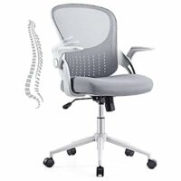 Ergonomic Office Chair with Lumbar Support and Flip-up Armrest