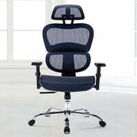 High Back Executive Ergonomic Desk Chair