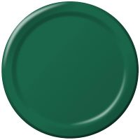 Creative Converting Touch of Color 24 Count Paper Banquet