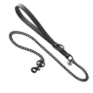 Pet Passion Links Dog Leash