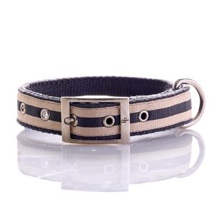 Pet Passion Remy II - The Recycled Ribbon Collar