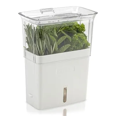 Cole & Mason Tealby Herb Pot