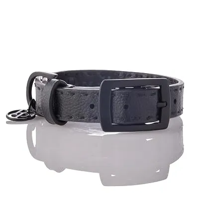 Pet Passion Dog Collar: Vegan Leather