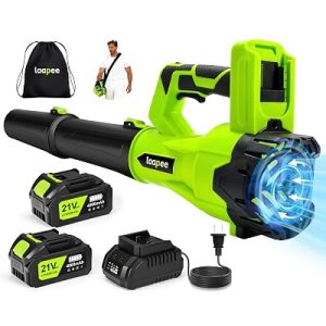 laapee Leaf Blower Cordless 650CFM with 2×4.0Ah Battery & Fast Charger