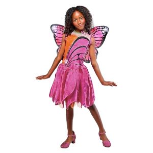 Rubies Barbie: Mariposa Barbie Costume for Kids
