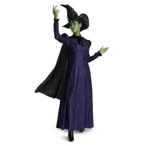 Disguise Wicked Elphaba Costume