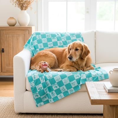 Franco Looney Tunes Tasmanian Devil Throw & Squeaky Pillow Set - $15.07 ($29.99)