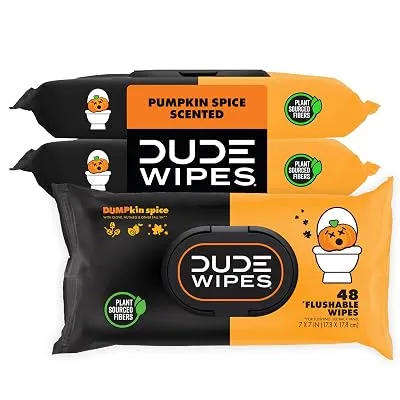 DUDE Wipes Dumpkin Spice Adult Flushable Wipes, 144 Count - $5.51 ($14.99)