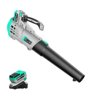 Litheli 20V Cordless Leaf Blower, 4.0Ah