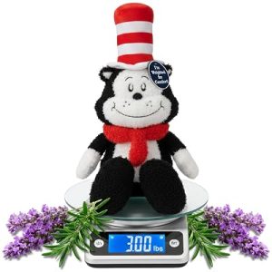 Franco Dr. Seuss Cat in The Hat Bedding Weighted Cuddle Pillow
