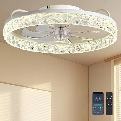 DIAMONDFORGE Ceiling Fans with Lights and Remote Fandelier, 20” - $58.00 ($89.99)